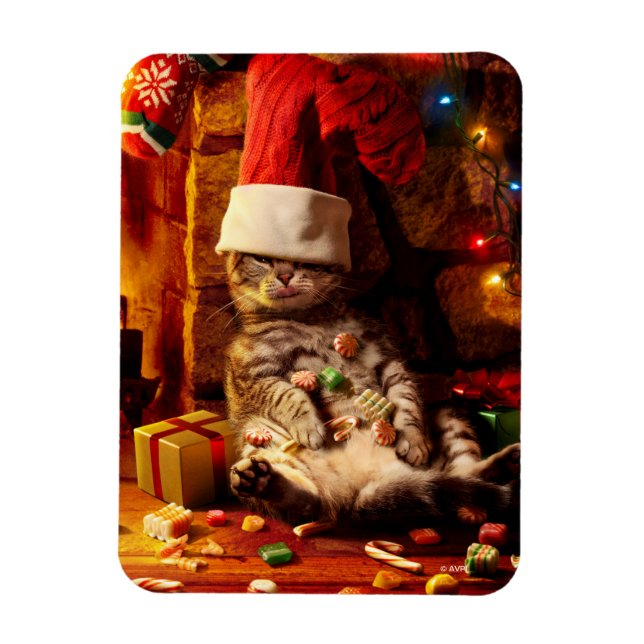 Íman Gato com a cabeça estacionada (Vertical)