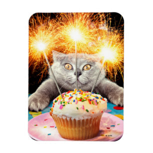 Íman Gato com Cupcake