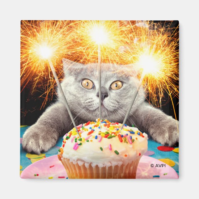 Íman Gato com Cupcake Sparkler (Frente)
