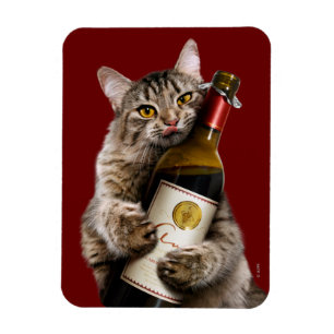 Íman Gato Com Garrafa De Vinho