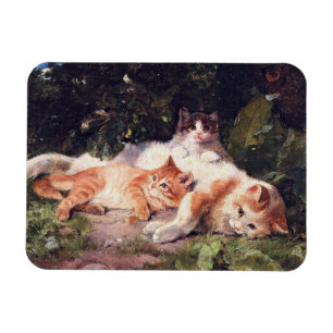 Íman Gato com Gatinhos de Arte Bela