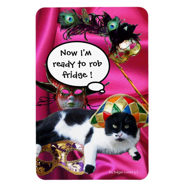 ÍMAN  GATO COM HARLEQUIN HAT E MÁSCARAS DE MASCARADA (Vertical)