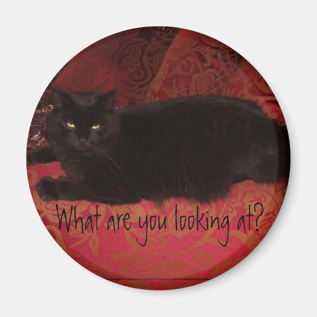 Íman Gato com ímã de atitude (Frente)