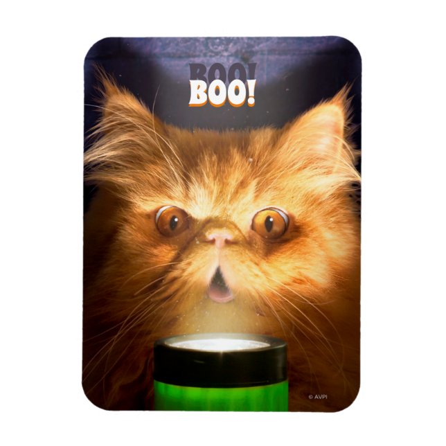 Íman Gato com lanterna (Vertical)