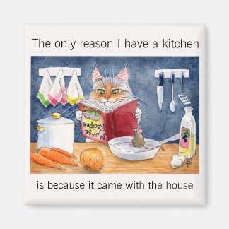 Íman Gato cozinhar bonito e engraçado na cozinha