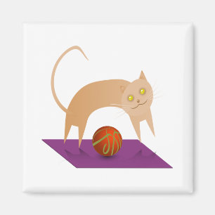 Íman Gato da canela