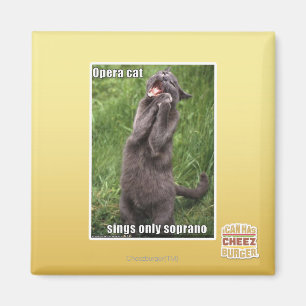 Íman Gato da ópera