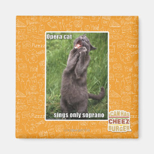 Íman Gato da ópera