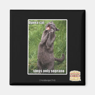 Íman Gato da ópera