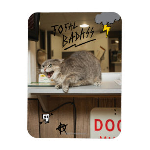 Íman Gato de Badass Total