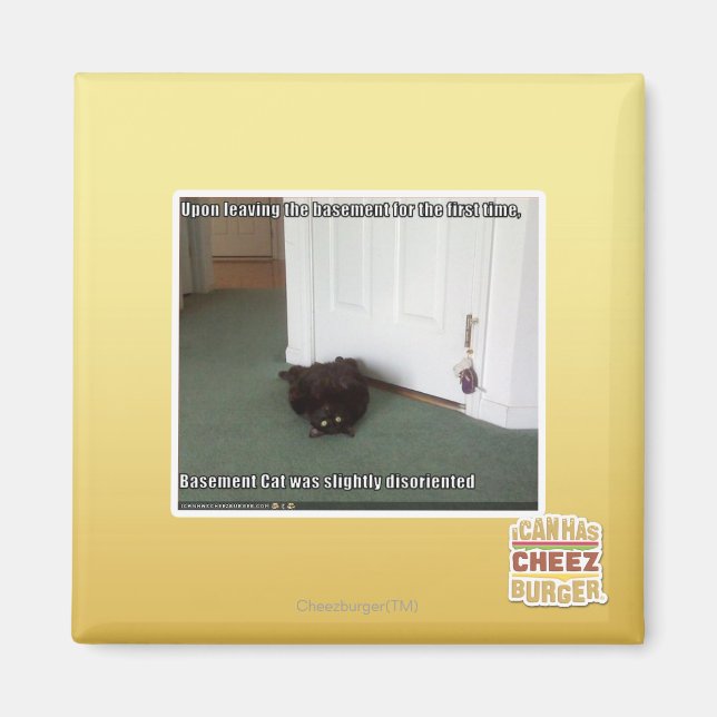 Íman Gato de Base, ligeiramente desorientado (Frente)