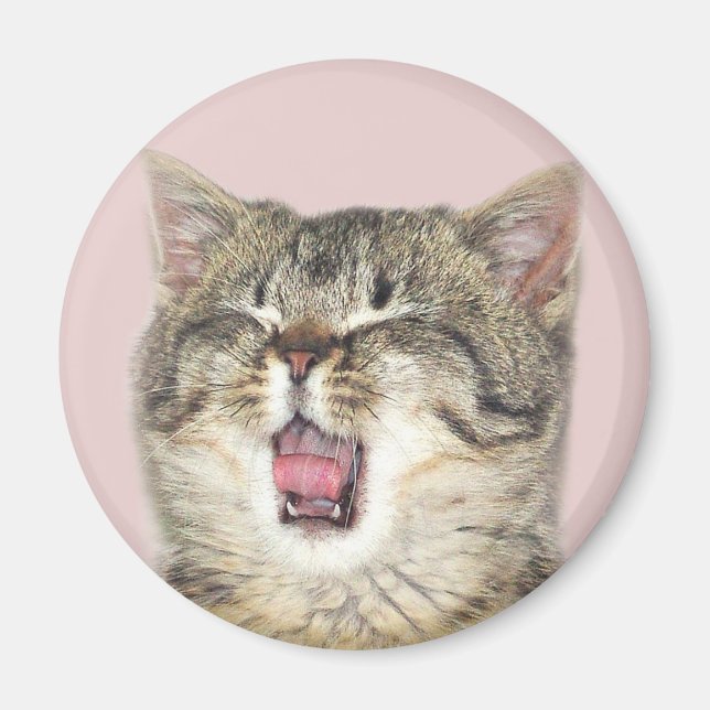 Íman Gato de boca aberta (Frente)