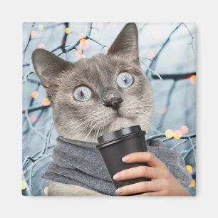 Íman Gato de café