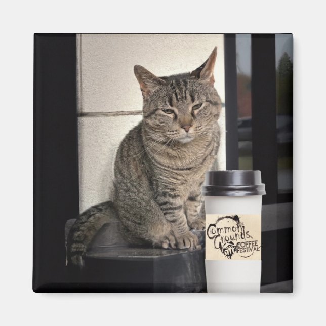 Íman Gato de café (Frente)