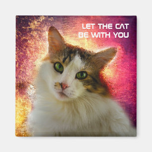 Íman Gato de Calico Cento Adorável