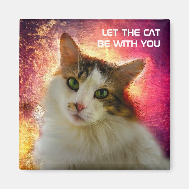 Íman Gato de Calico Cento Adorável (Frente)