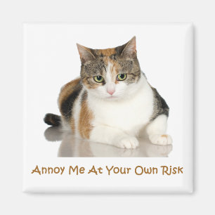 Íman Gato de chita: Irrite-me a seu próprio risco