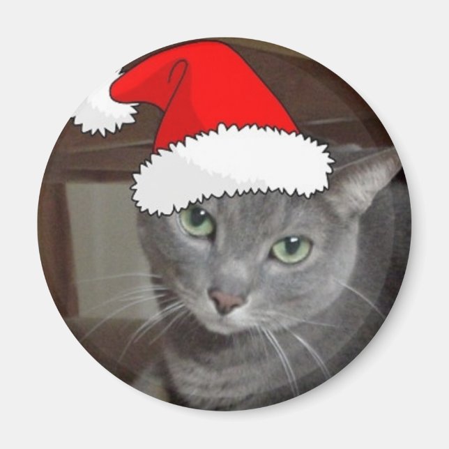 Íman Gato de Cinza Azul Russo Natal (Frente)