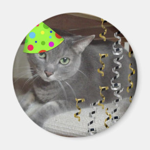 Íman Gato de Cinza de animais de festa