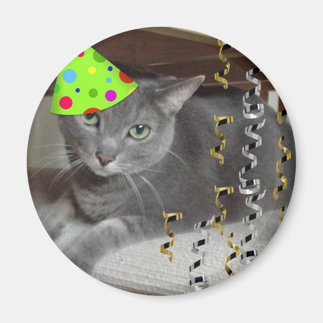 Íman Gato de Cinza de animais de festa (Frente)