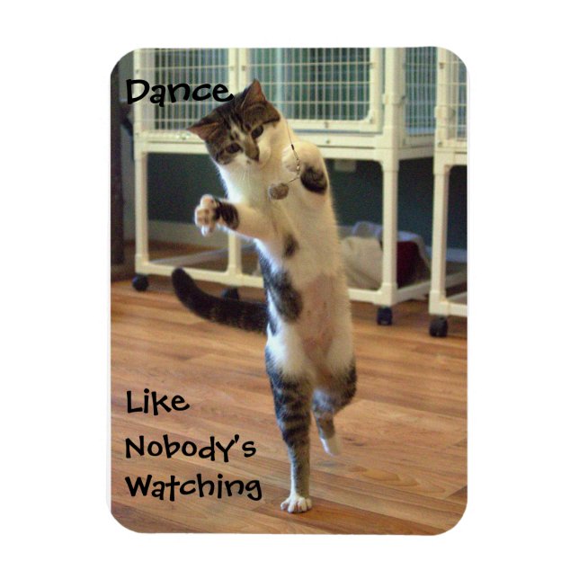 Íman Gato de dança (Vertical)