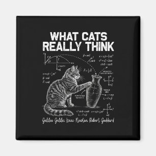 Íman Gato de Física Professor de Ciência Engraçado O qu