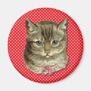 Íman Gato de gato malhado