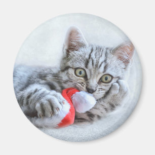 Íman Gato de gato malhado cinzento bonito com Xmas do