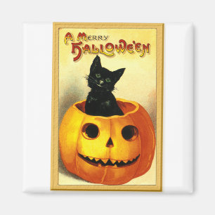 Íman Gato de Halloween Sentado na Jack O Lantern