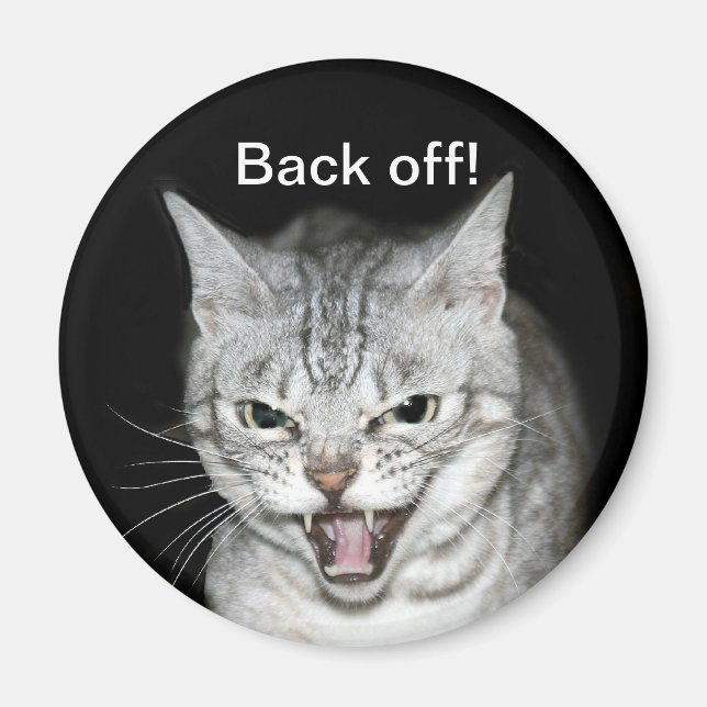 Íman Gato de isca (Frente)