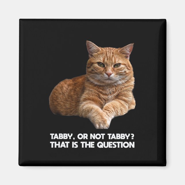 Íman Gato de Laranja Cinto (Frente)