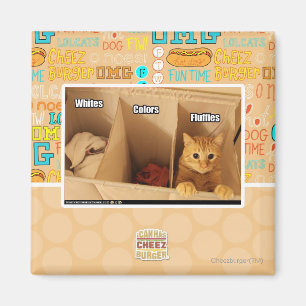 Íman Gato de lavanderia