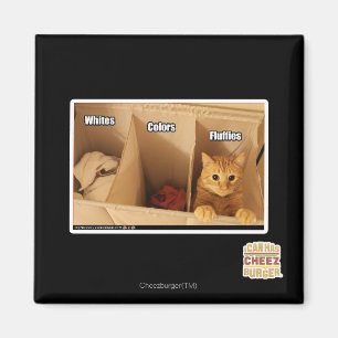 Íman Gato de lavanderia