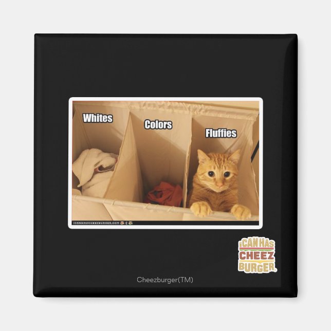 Íman Gato de lavanderia (Frente)