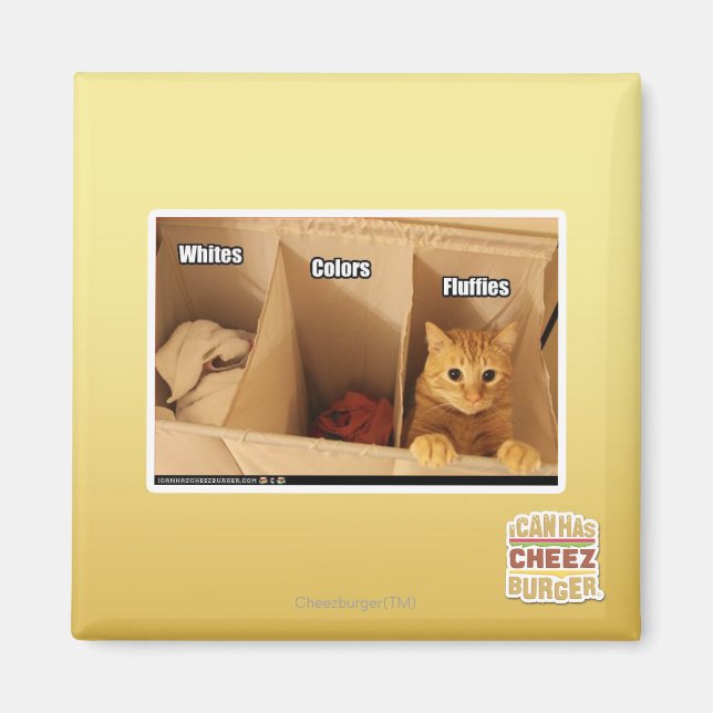 Íman Gato de lavanderia (Frente)