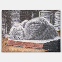 Gato de Livraria