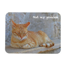 Íman Gato de mesa descansando em Dubrovnik Não é proble