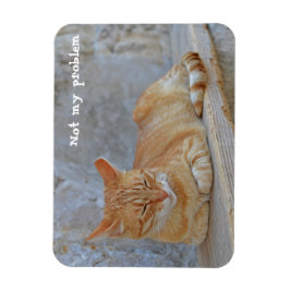 Íman Gato de mesa descansando em Dubrovnik Não é proble