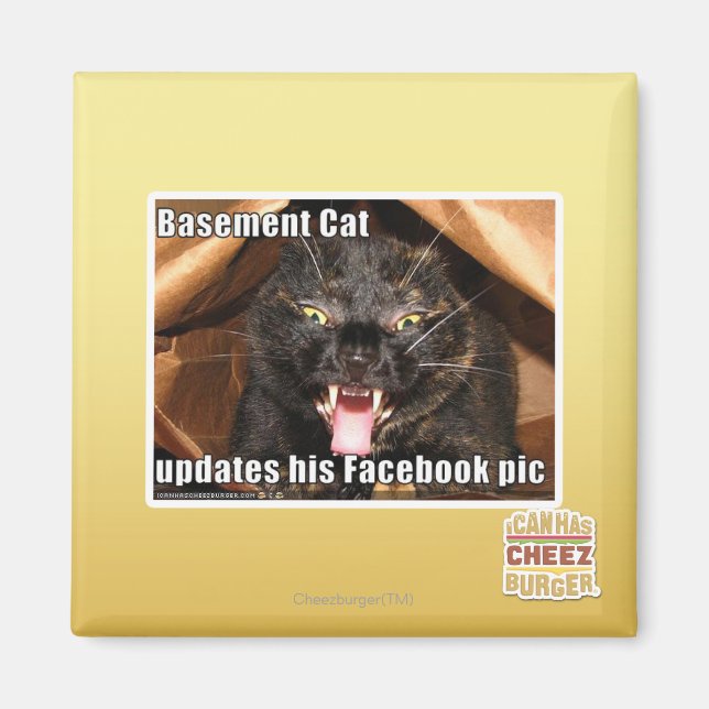 Íman Gato de porão (Frente)