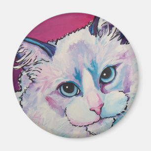 Íman Gato de Ragdoll