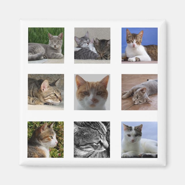 Íman Gato de Refrigerador (Frente)