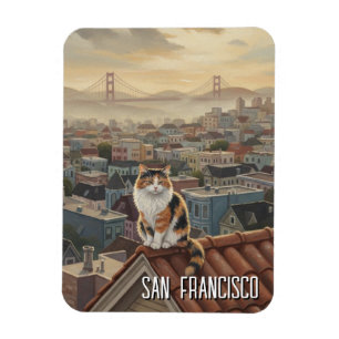 Íman Gato de São Francisco no telhado