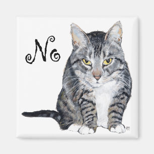 Íman Gato de Shorthair Americano - Não