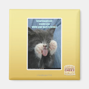 Íman Gato de Smartmouth