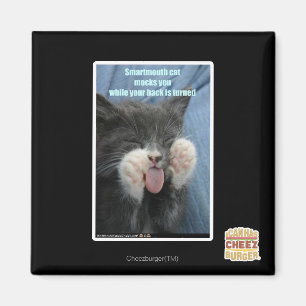 Íman Gato de smartmouth
