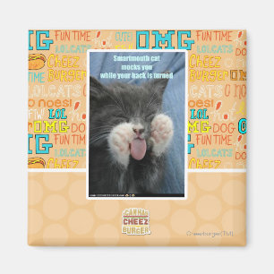 Íman Gato de Smartmouth
