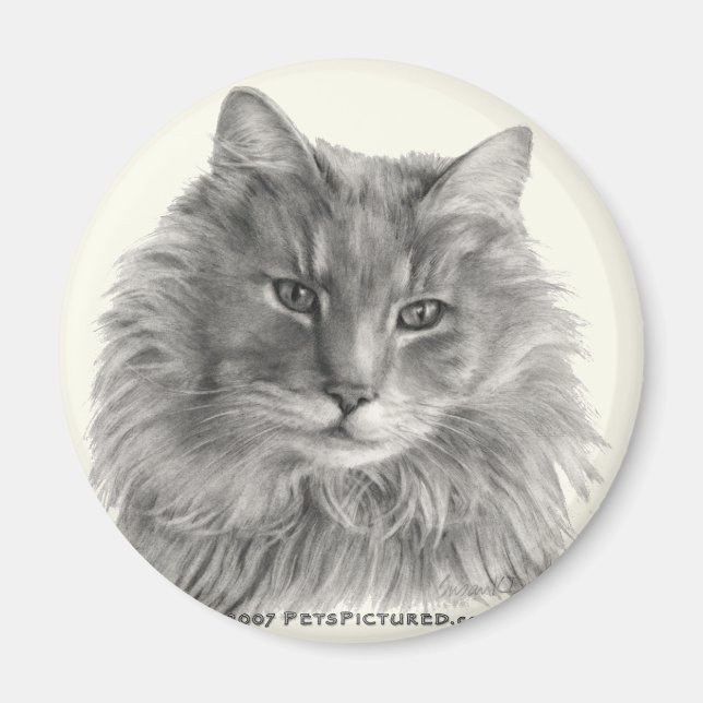 Íman Gato De TeeGee, Cinzas De Cabelo Longo (Frente)