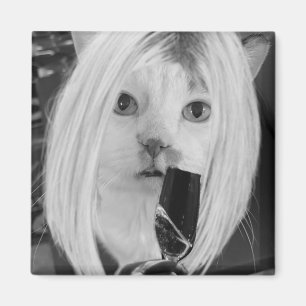Íman Gato de vinho