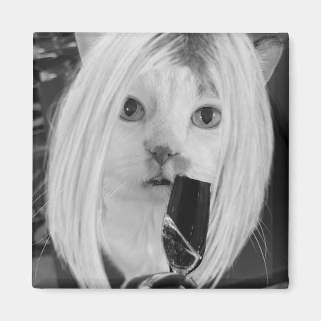 Íman Gato de vinho (Frente)