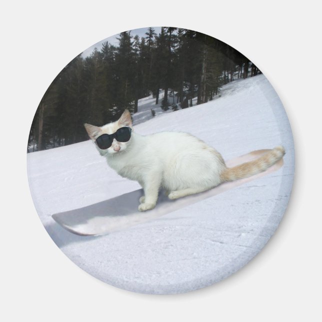 Íman Gato Divertido em um imã de prato de neve (Frente)